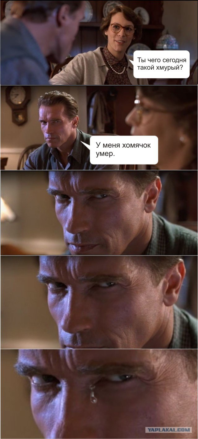 Арни явно что-то задумал!