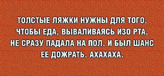 Немного картинок для настроения 05.11.20