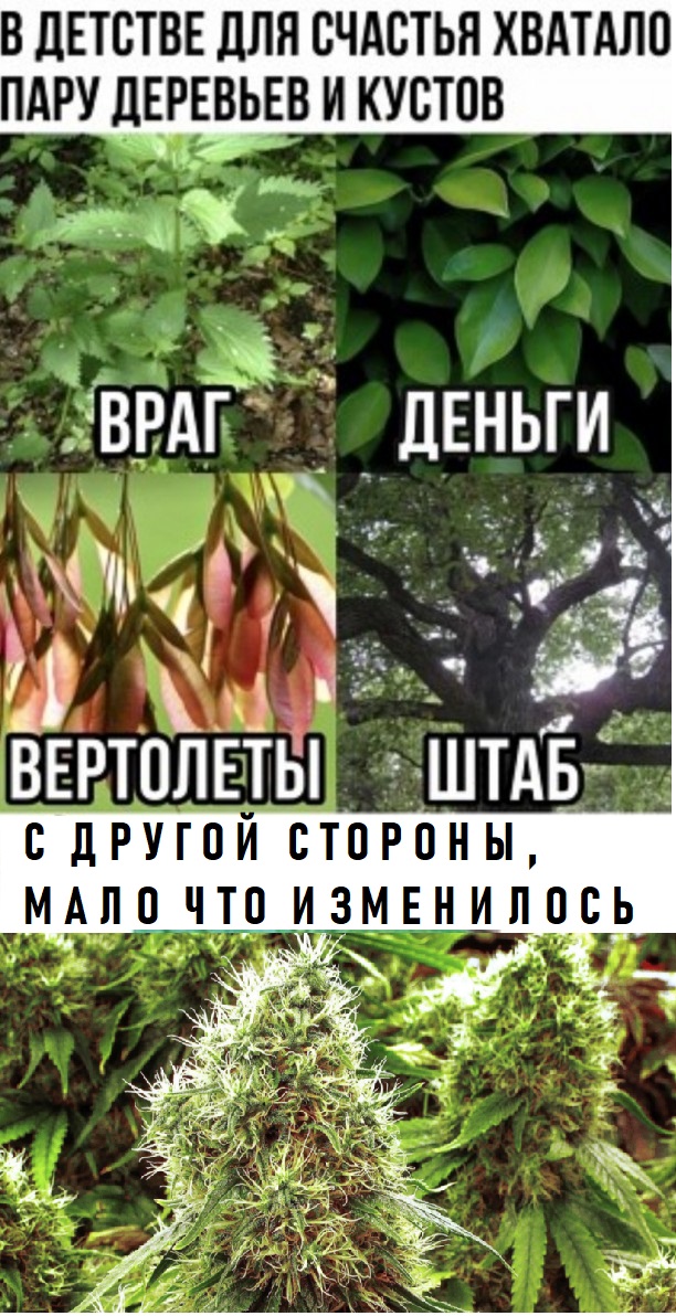Бредзона 17.11.20