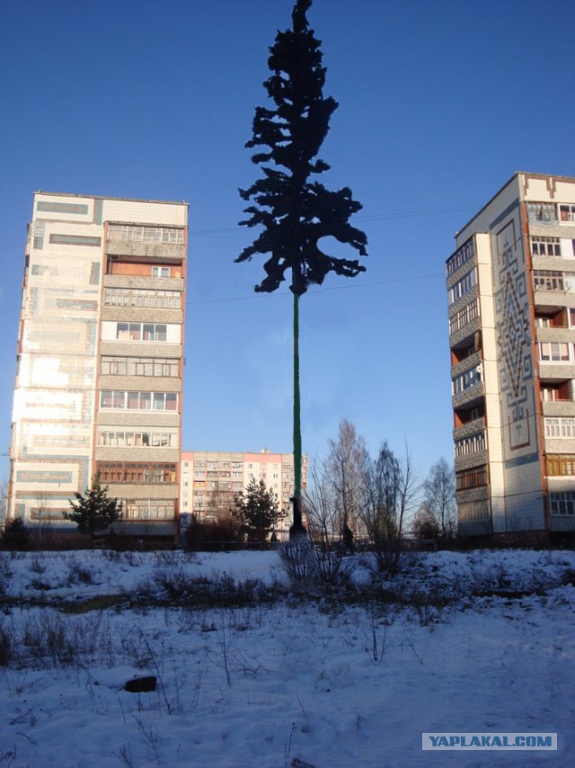 У нас в городе поставили ЙОЛКУ