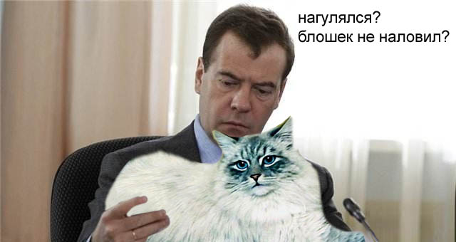Мучительный выбор