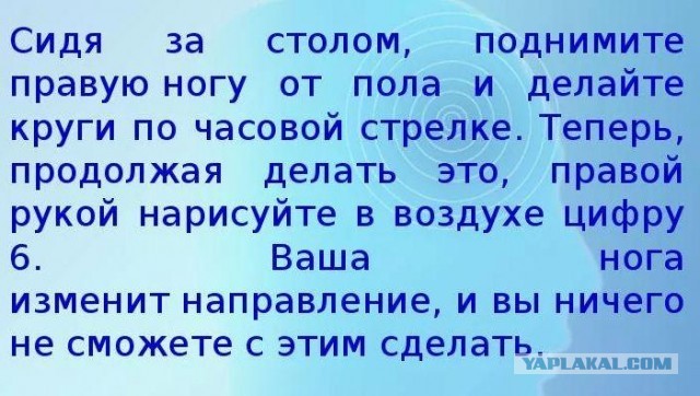 Кретинизмы из сети 20.01.21