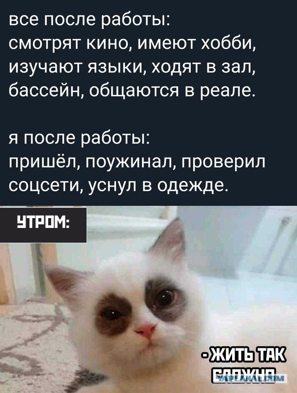 Кретинизмы из KV и KO 27.01.21