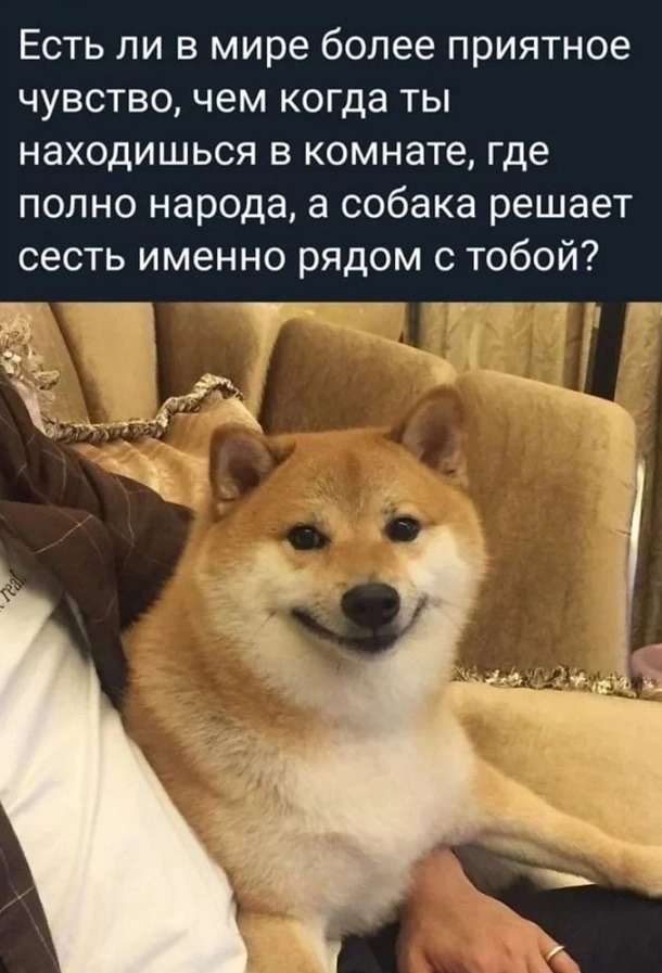 Кретинизмы из сети Night Edition 9.02.21