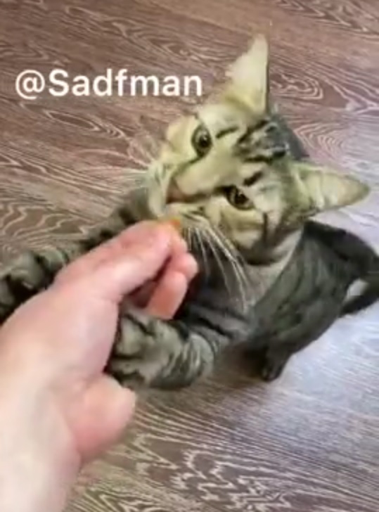 Уха