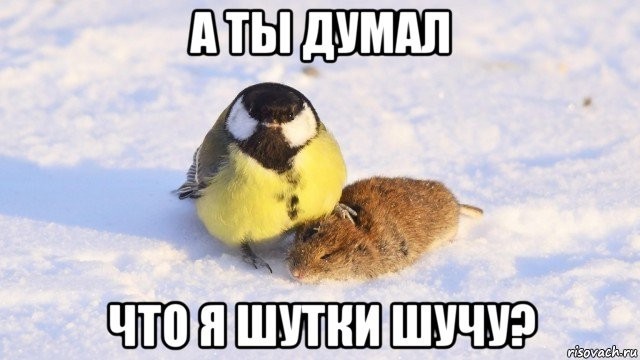 Картинки и мемы для настроения 26.08.2021