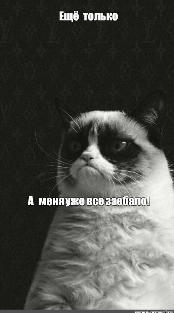 Настроение зае..б*ло  все