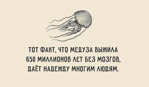 В Иркутске школьника не пустили на уроки из-за хвостика на голове. Прокуратура начала проверку