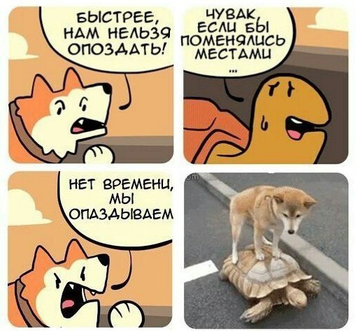 Весёлый полтишок 26.09