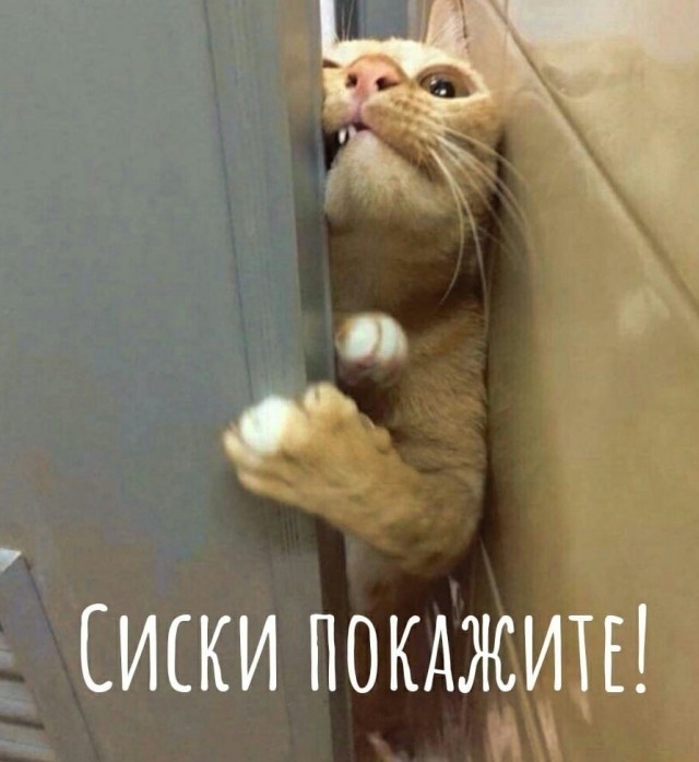 Отдохните от политики