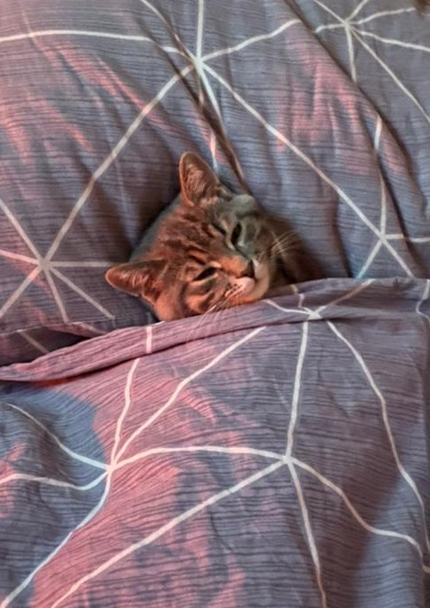 Ну, поехали в котоввторник!