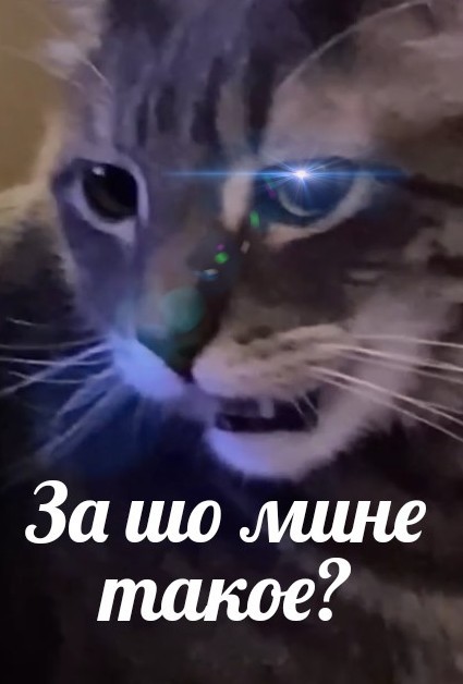 Рыбка оказалась несвежей