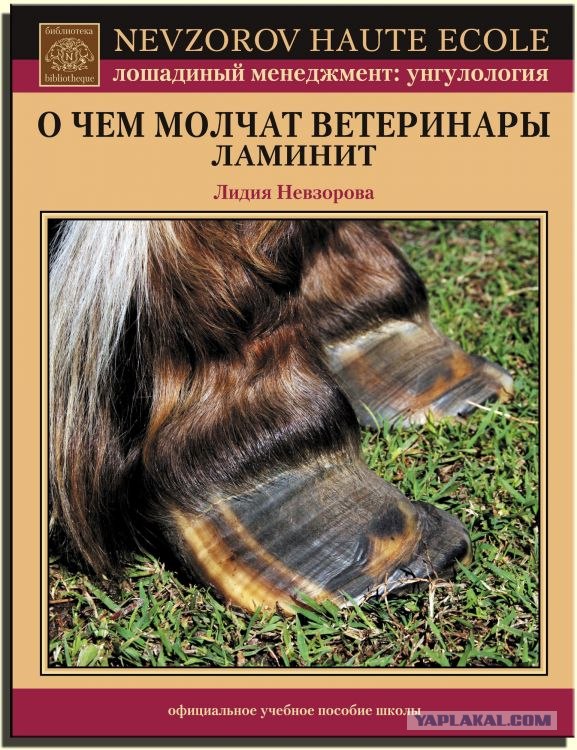 Как я провел лето