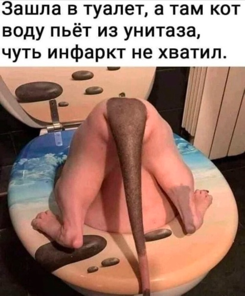 Так себе картинки 23.04.22