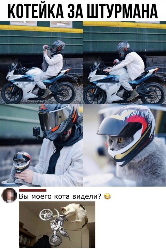 Так себе картинки 30.08.22
