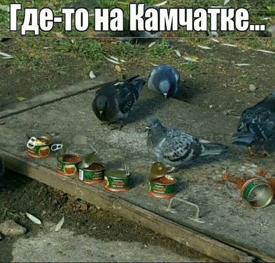 Так себе картинки 17.12.22
