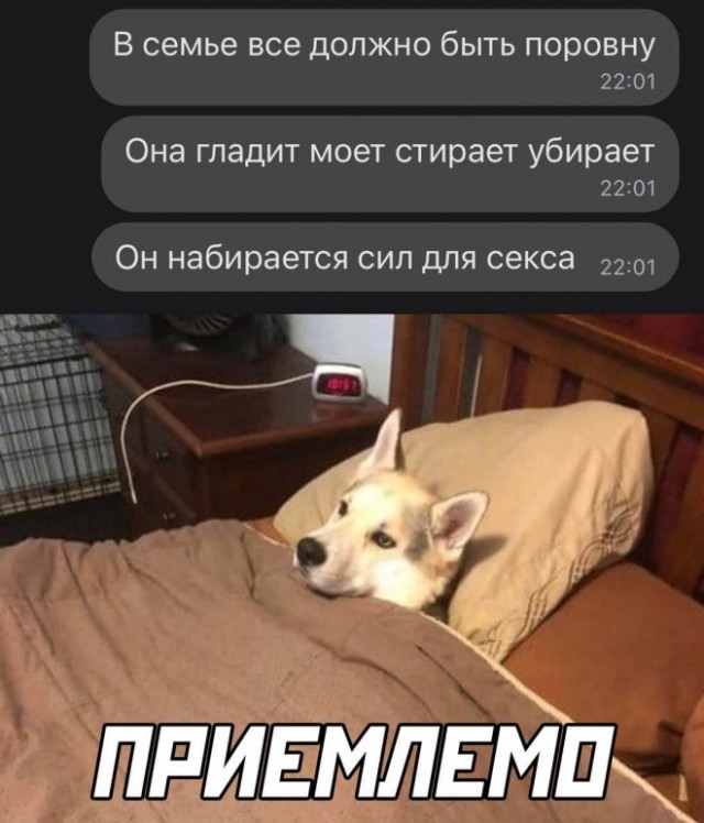 Картинки и мемы, всем хороших выходных