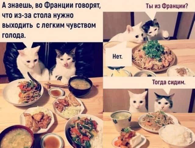 Немного картинок для настроения - 165