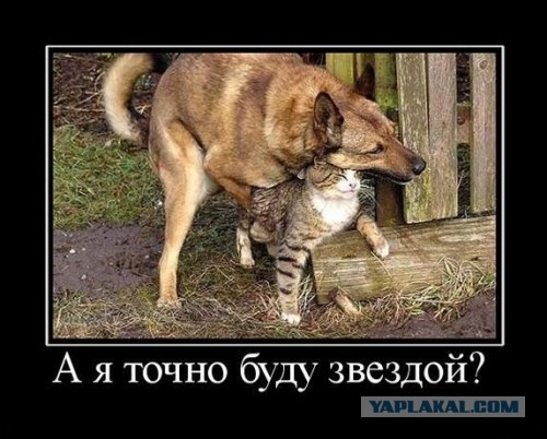 Пятая подборка самых баянистых баянов! Ностальгируем...