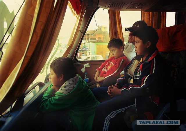 Латинская америка: правила жизни в путешествии