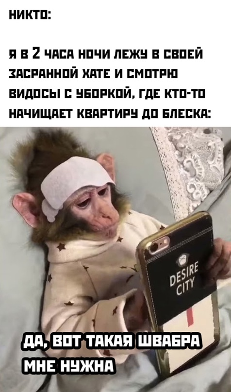 Весёлый полтишок 23.07.23