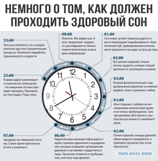 Всяко-разно