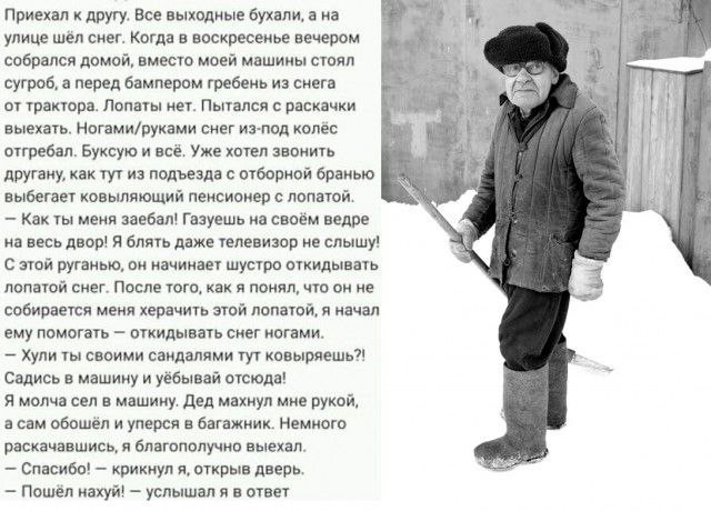 Картинок подвезли