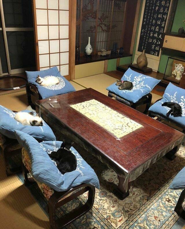 ФотоВинегрет