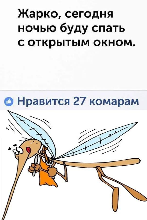 Немного наркомании и шизофрении в ленту