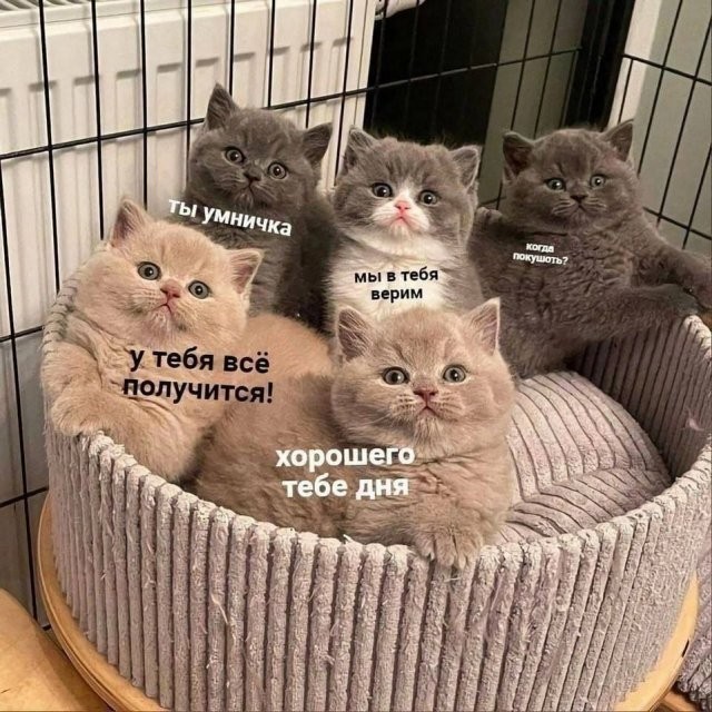 Картинки от Scodero