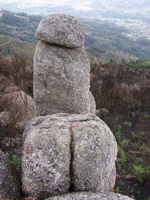 ФотоВинегрет
