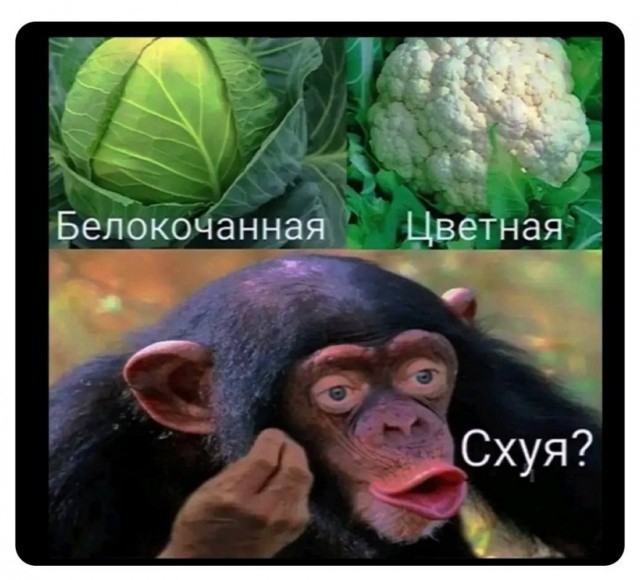 Всего понемногу. От 23.08