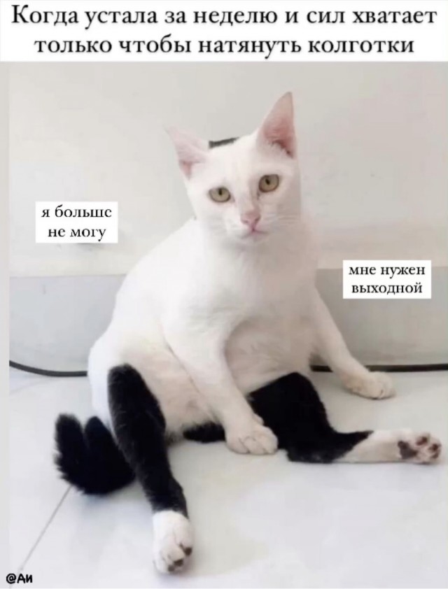 Весёлые картинки