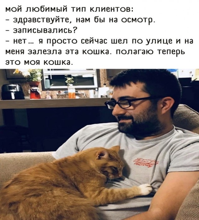Так себе картинки 15.02.25