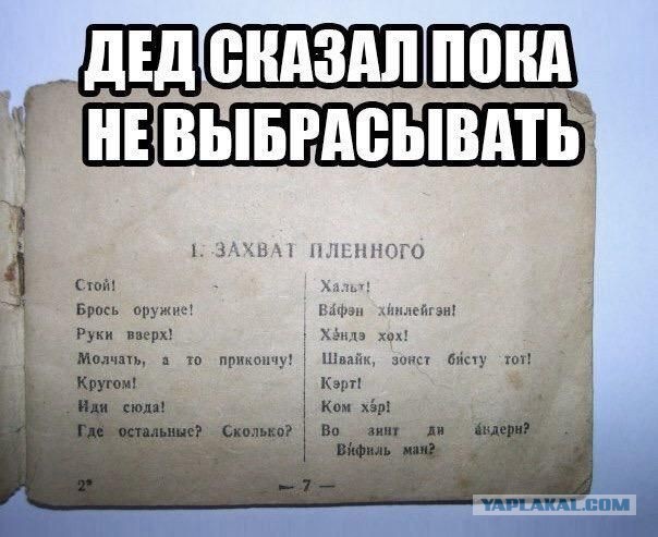 Прикольные и просто красивые картинки 11.04.2025