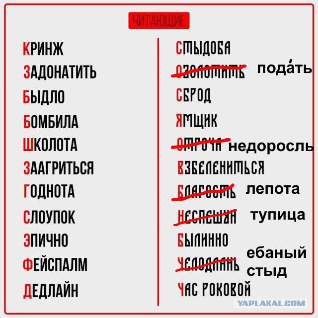 Так себе картинки 13.06.25