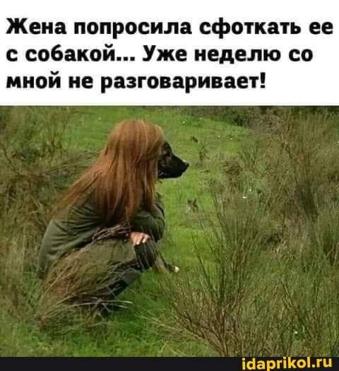 Моя жена не умеет фоткать кота