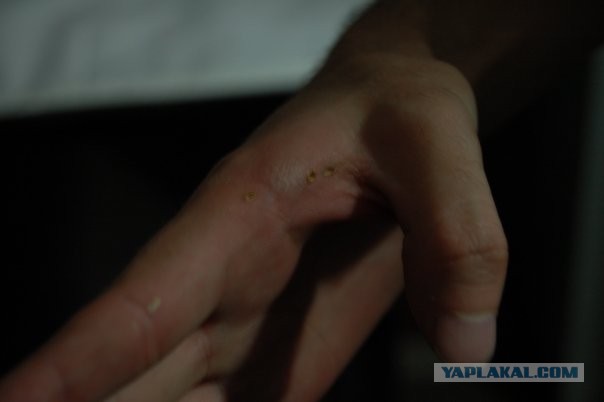 Тупые американцы и игрушки у них тупые...