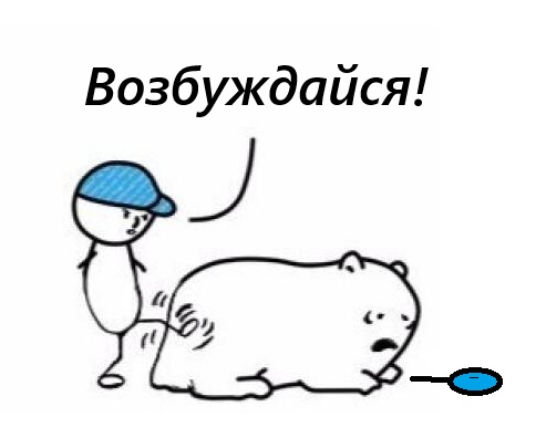 Директор школы №1 в станице Ольгинской выступил в защиту цыгана, который нокаутировал девочку Мирославу