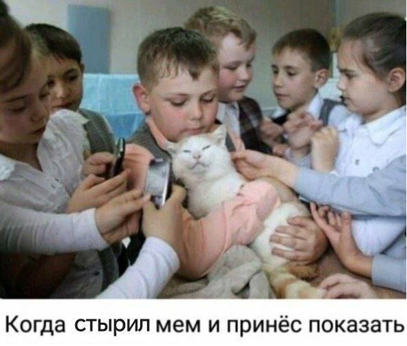 К котовторнику: подборка картинок-баянов с котиками и про котиков. Выпуск 31.