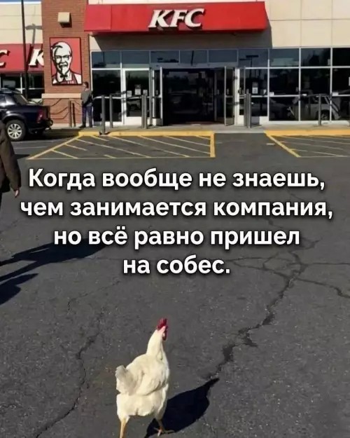 20927360.jpg