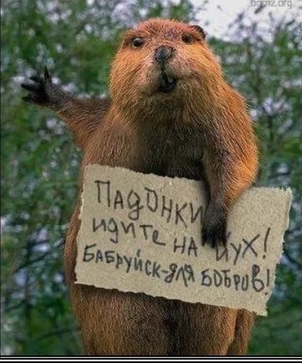 Так себе картинки 06.05.26