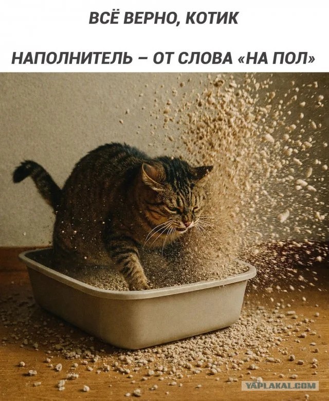 Приколюхи