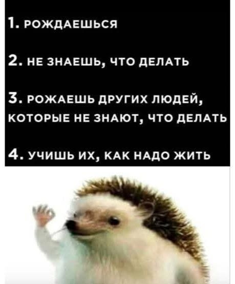 Картинки для деградации 233 (разной степени свежести)
