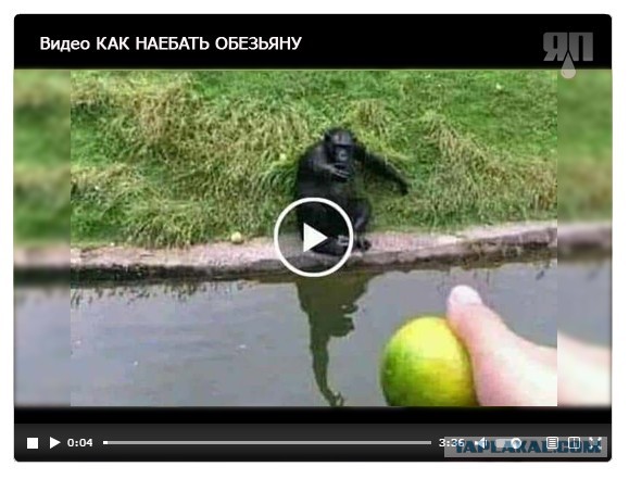 «Не открывать!⁠»