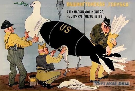 Вашингтонская голубка Вашингтонская голубка