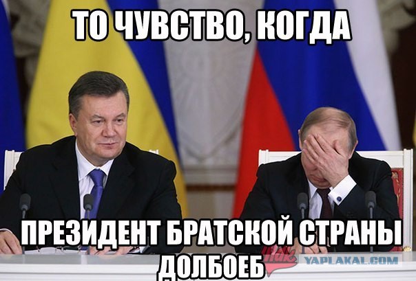 Фото дня
