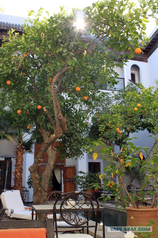 Новогодняя ночь в пустыне Сахара