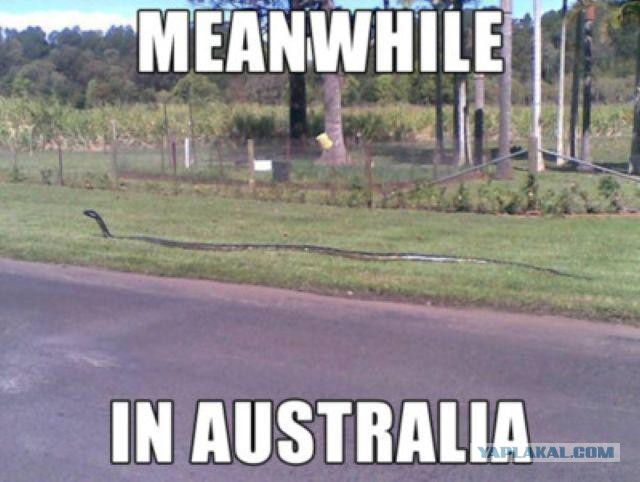А Австралия че?