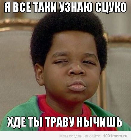Как в Колорадо выращивают легальную коноплю